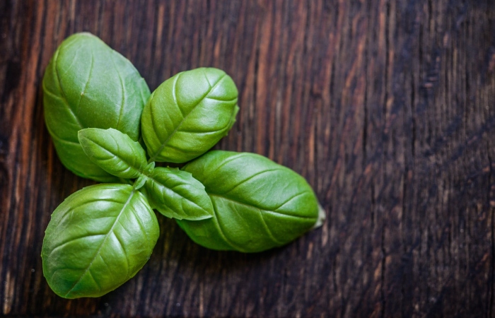 Basil - Fat Burner Herbs