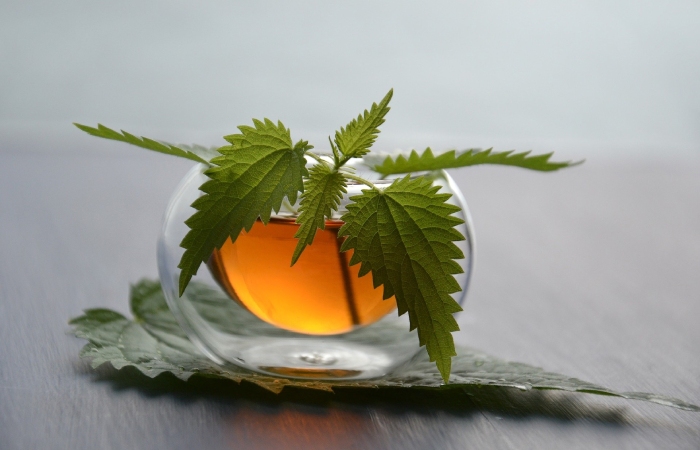 Nettle - Fat Burner Herbs