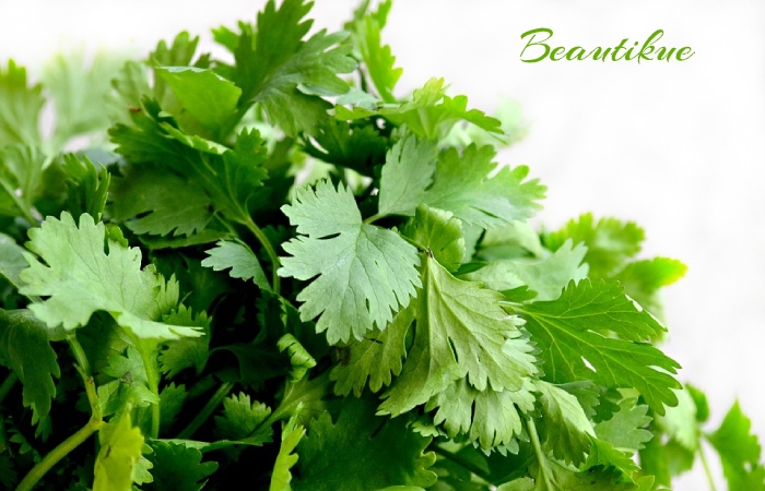 Parsley - Fat Burner Herbs