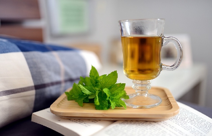 Peppermint - Fat Burner Herbs